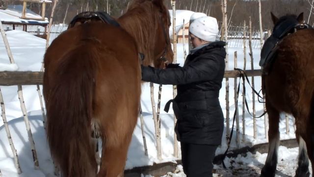 Душевные разговоры с Туристами на Турбазе Малиновка смотреть онлайн