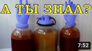 Простой рецепт домашнего ВИНА из ВИНОГРАДА???