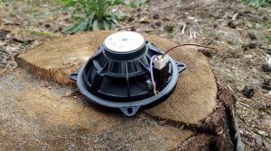 Полярность динамиков в машине. Как правильно подключить?