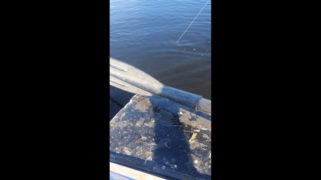 ЭКО ОТЕЛЬ НОВЫЙ КОВЧЕГ ЛОВЛЯ ЩУКИ. МИР СЕЛИГЕРА смотреть онлайн