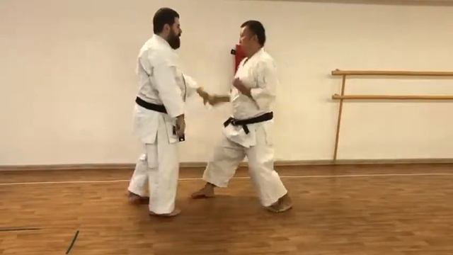 Кихон ваза сенсей Тотибадзе Сито-рю карате. смотреть онлайн
