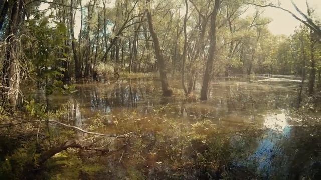 [Велопрогулка] Зелёный остров. Омск (22.08.2016) смотреть онлайн