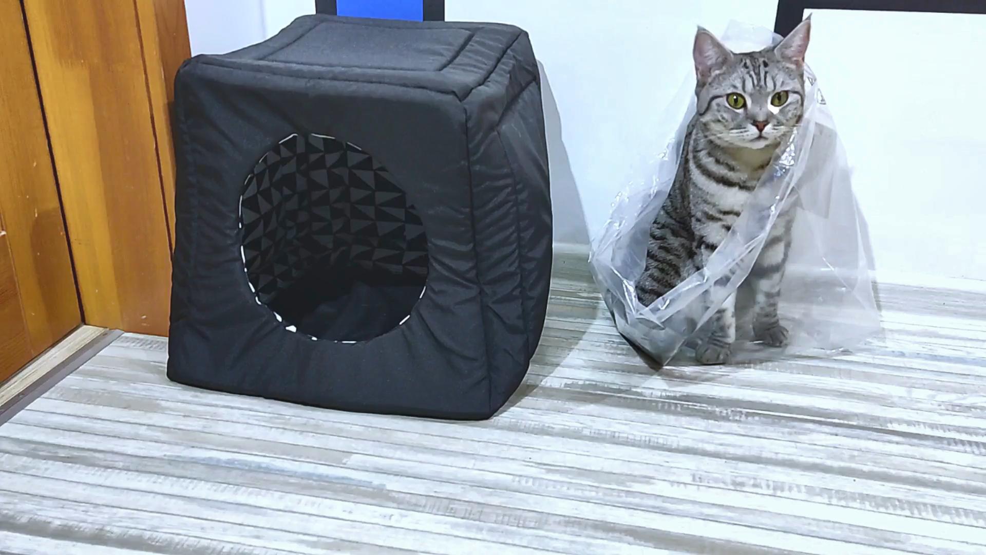 Новый домик для кошки.