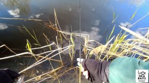 МОРМЫШИНГ и БОМБАРДА. Разлавливаю самодельных мух.