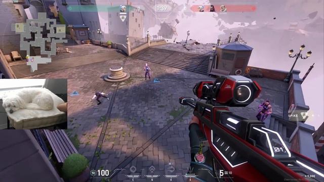 Catch Me, Win 6,000 VP смотреть онлайн