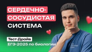 СЕРДЕЧНО-СОСУДИСТАЯ СИСТЕМА | Тест-Драйв NeoFamily