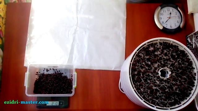 Сушка смородины – 5 кг. смотреть онлайн