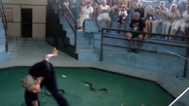 Укус змеи.Таиланд ноябрь 2012