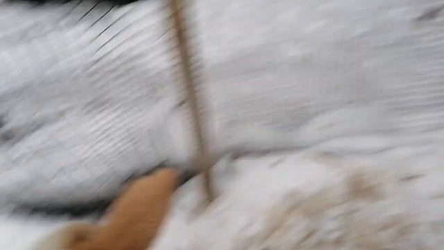 Вес Катумских ягнят в месяц смотреть онлайн