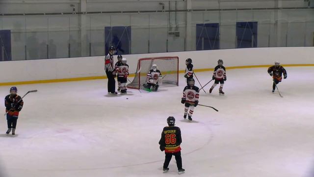 Шайба - Созвездие | 2013 г.р. | 12.02.2022 | 18:15 смотреть онлайн