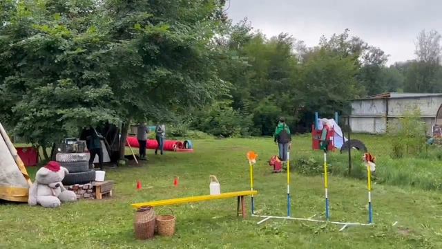 Ротвейлер Марик мондьоринг 1 174б