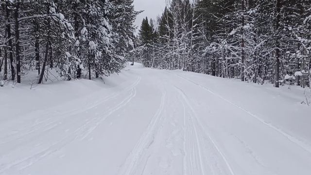 MOTODOG 20лс|мини-снегоход 