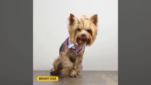 28 CREATIVE IDEAS TO REMAKE OLD CLOTHES AND SAVE YOUR MONEY смотреть онлайн