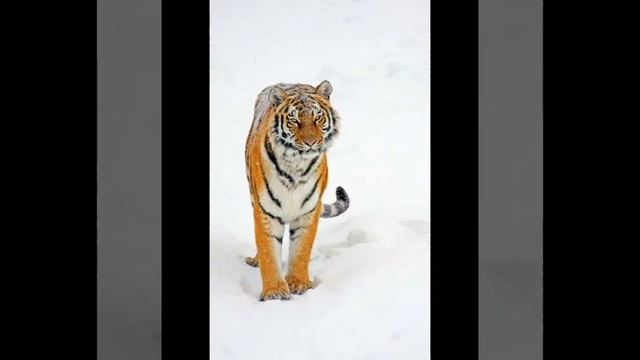 красивые обои и авы всего 10частей смотреть онлайн