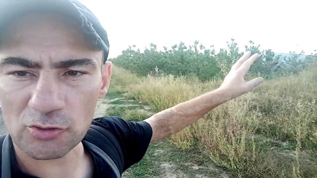 Илья Лебедь или АДЕКВАТНЫЙ НЕАДЕКВАТ, АРХИВНОЕ ВИДЕО смотреть онлайн