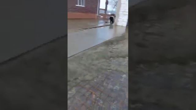 Мы не только делаем ремонты в помещениях но и оказываем другие услуги смотреть онлайн