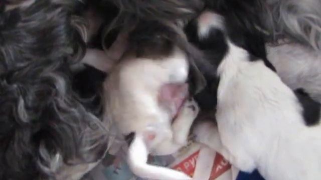 Кормление смотреть онлайн