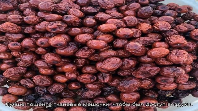 Веганские Рецепты