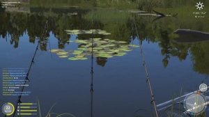 Русская рыбалка 4 - оз. Комариное - где ловить трофейных серебряных карасей