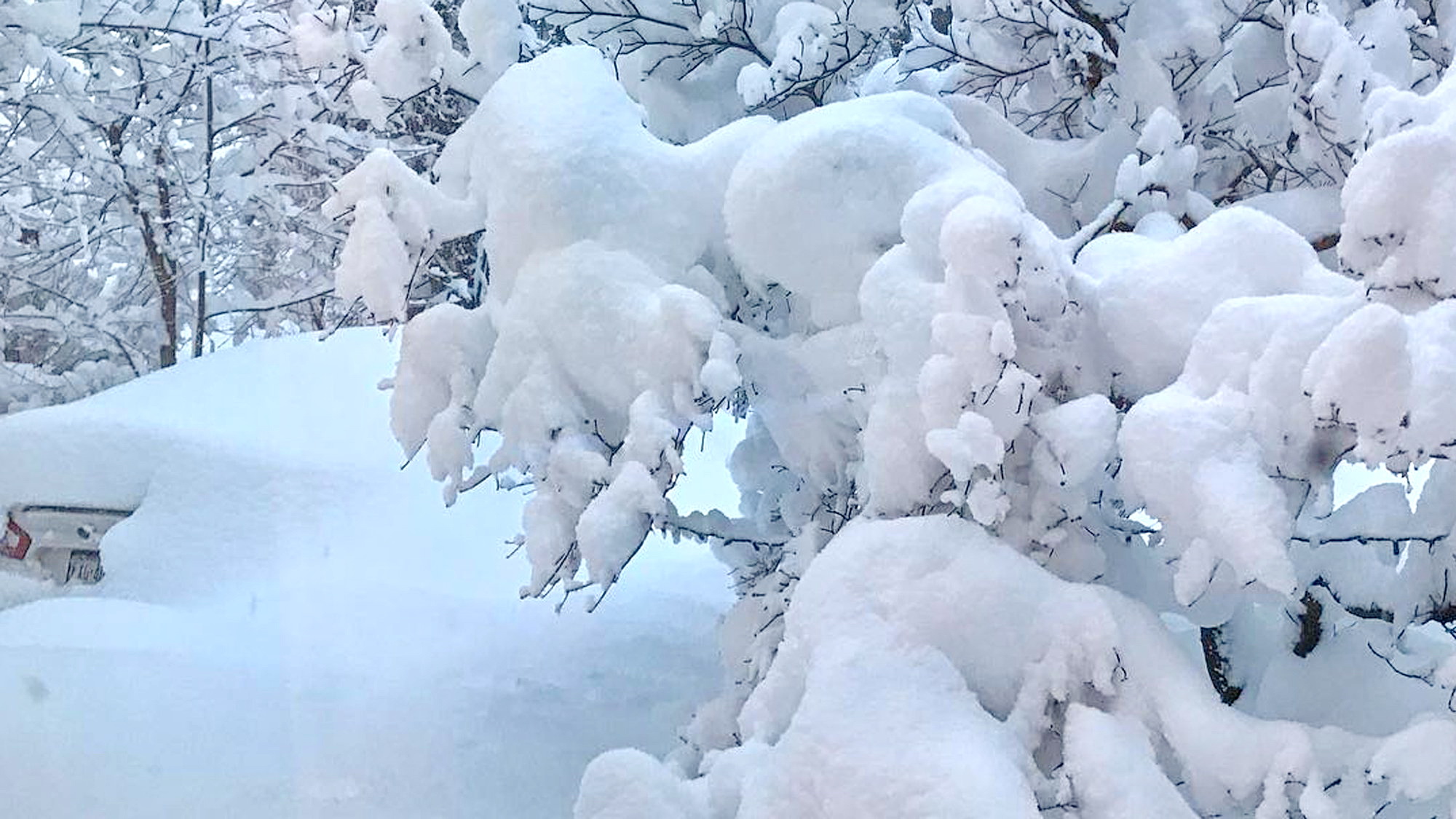 Идут белые снеги