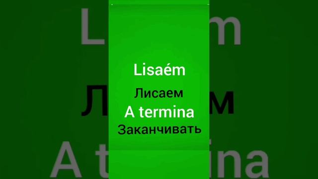 Урок 22. помогаем подопечному ,,сиюди,,. Иврит для метапелет. смотреть онлайн