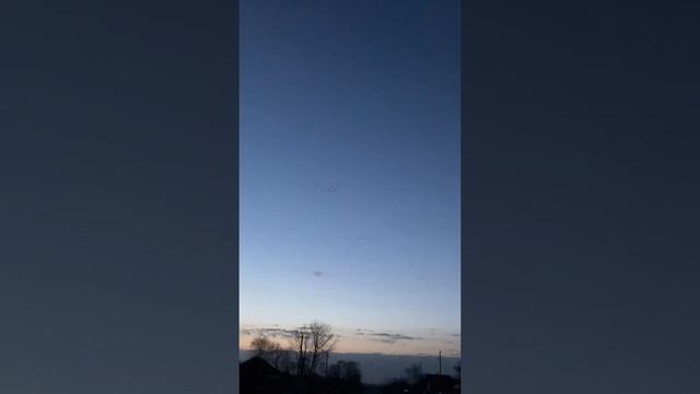 #весна#гуси#перелетыптиц#прилетели смотреть онлайн