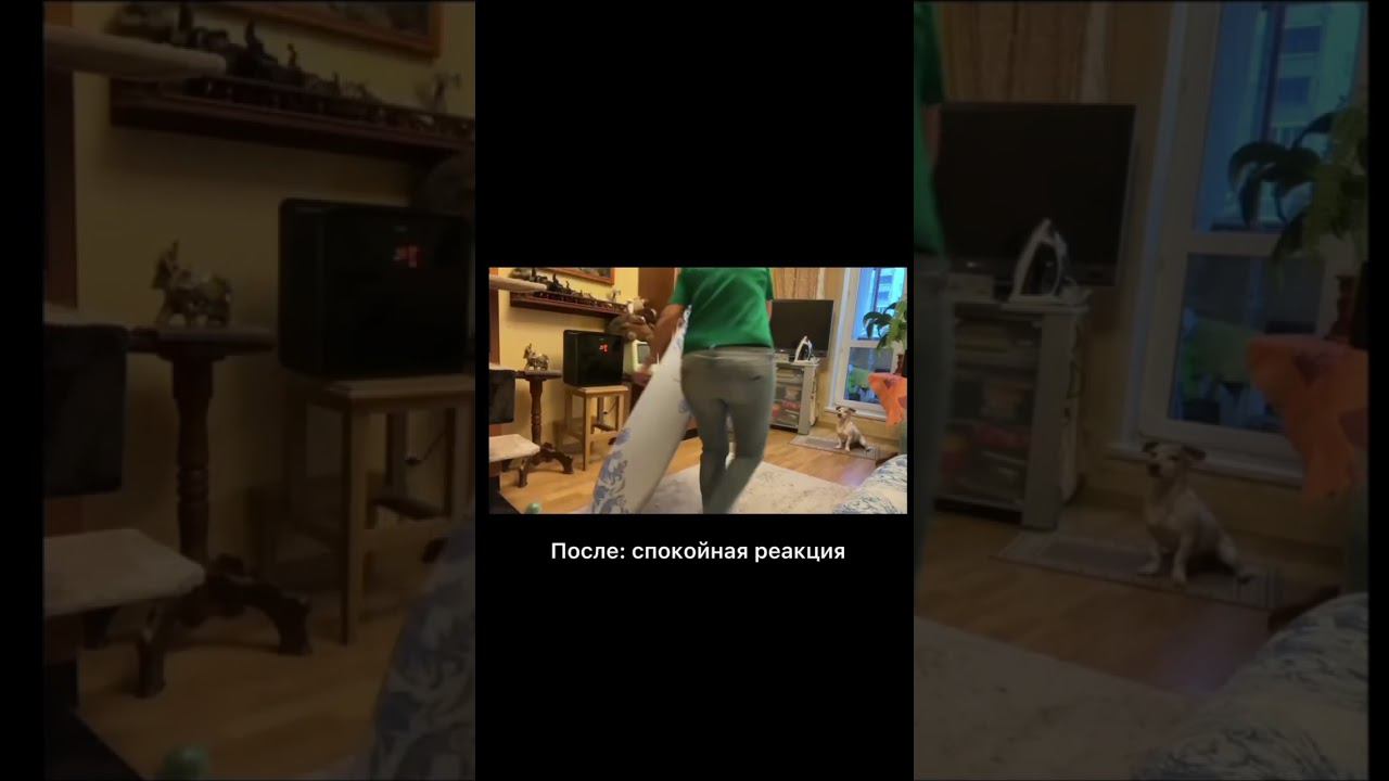 Зацикленность смотреть онлайн