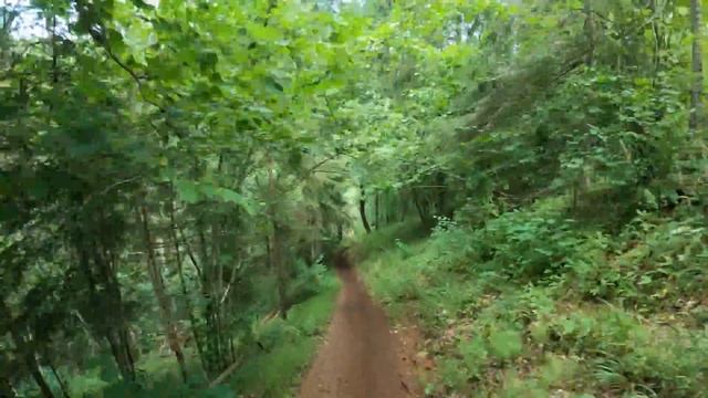 МОЯ ПЕРВАЯ ENDURO ГОНКА В MADONE 17.07.2021. смотреть онлайн