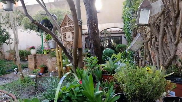 Испания. 29/03 /2021. Отдых и природа. Наслаждение. Коста Брава. #Palafrugell #погода #platjadaro смотреть онлайн