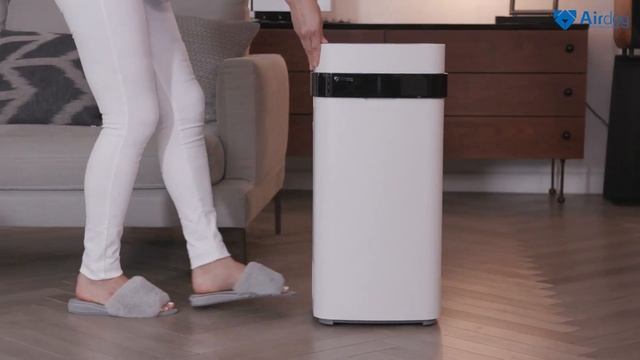 Airdog Tập 20 || Airdog đã cho ra mắt máy lọc không khí phiên bản Cao Cấp Airdog X5D смотреть онлайн