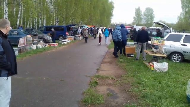 Ярмарка в Орле 2019. Купили павлина. смотреть онлайн