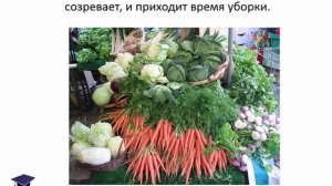 "Сад и огород", презентация для детей