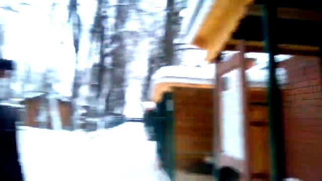 Приехали в зоопарк-львы,сип,лама,утки,цесарки,голуби,фазаны,волки. смотреть онлайн