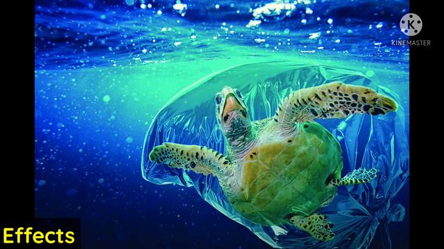 The GREAT PACIFIC GARBAGE PATCH Explained | Why is This a Huge Concern | смотреть онлайн