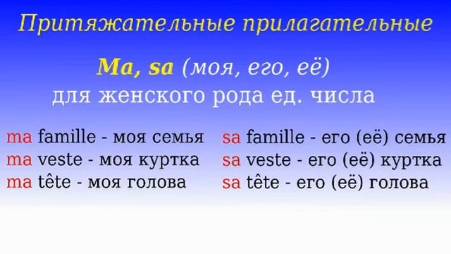 3 Урок французского. Грамматика 1/6. Притяжательные прилагательные. #французскийязык