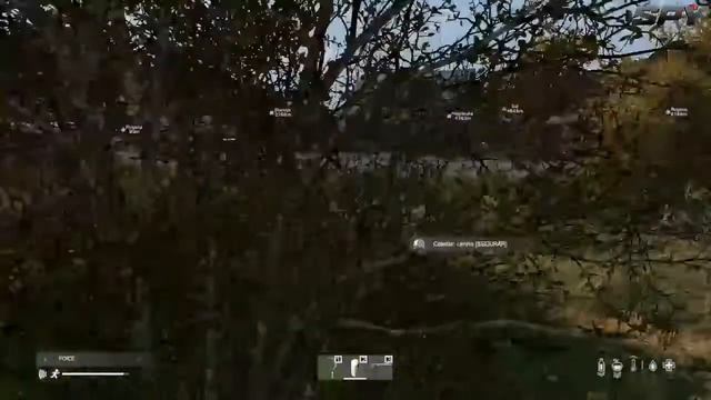 Mais um dia de sobrevivência - DayZ смотреть онлайн