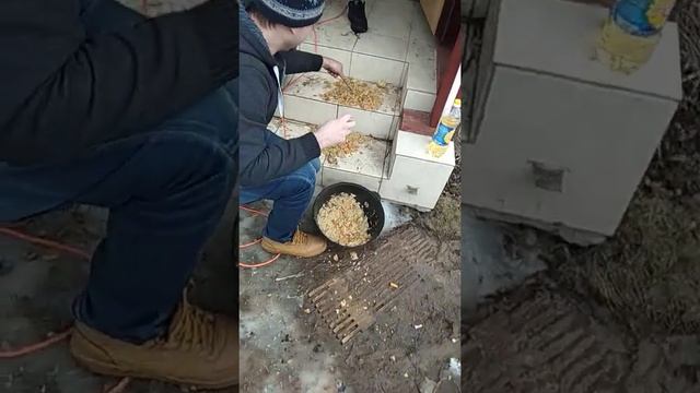 Охапка Дров И Плов Готов