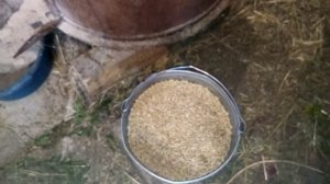 Самодельная зернодробилка своими руками.
Дробилка для зерна.