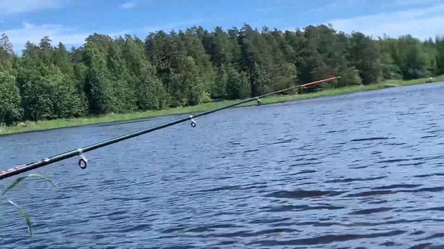 Рыбалка нас удивила, мотор ещё больше!!! Обкатка Tohatsu 9.8 / ловля рыбы на спиннинг и поплавок. смотреть онлайн