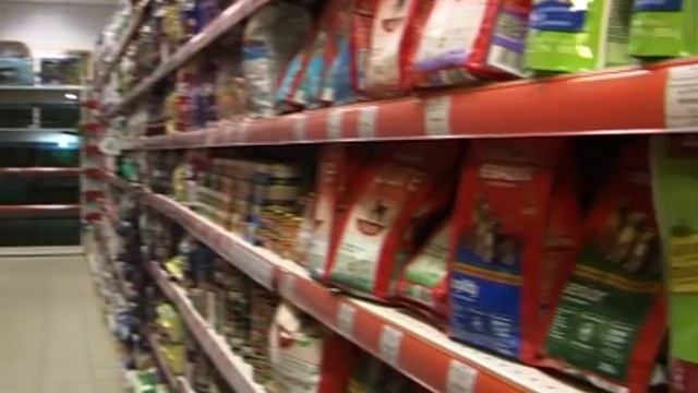 Как выбирать корм для кошек смотреть онлайн