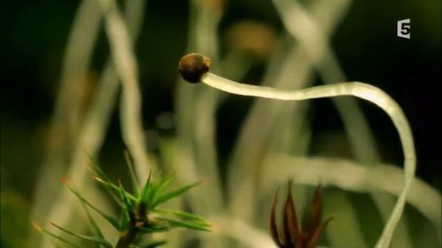 А.Монин, рок-группа "Круиз"."В этом мире". 1996г. смотреть онлайн