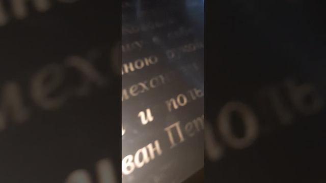 Музей Великого Физиолога.Инсталяция "Слова Павлова,тень Собаки,клички собак" смотреть онлайн