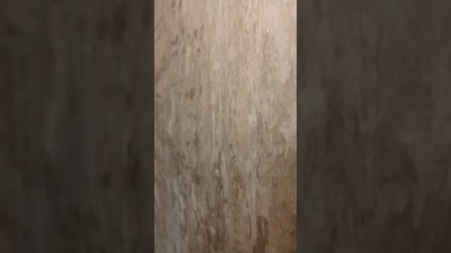 Нанесение Декоративной штукатурки «Шёлк» в стиле Лофт