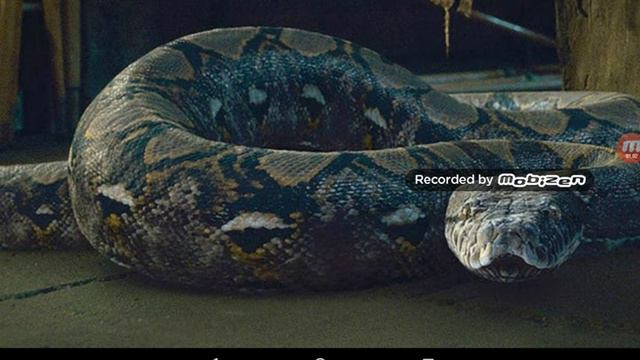 Все крестражи Волан-Де -Морта смотреть онлайн