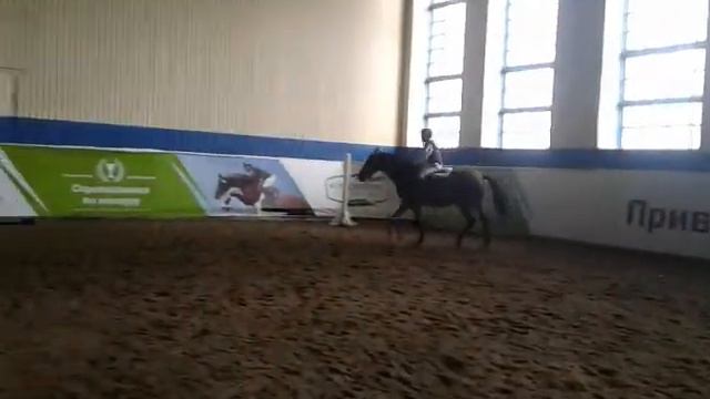 Наша тренировка.Рысь.Октябрь 2017 г. смотреть онлайн