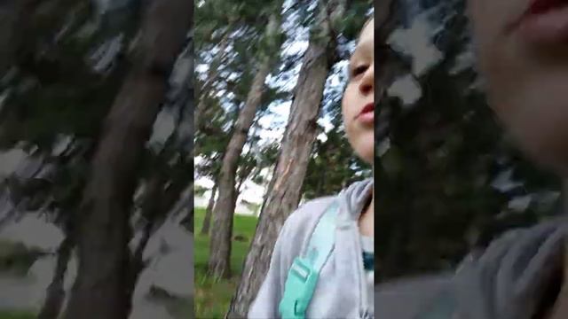 Я стал таксистом на 24 часа???? смотреть онлайн