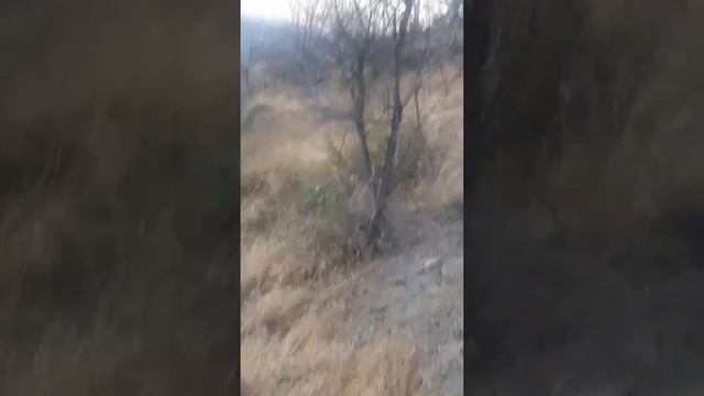 Сулейман гора в опасности смотреть онлайн