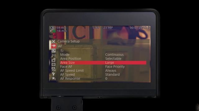 Introducing the Canon EOS C300 Mark II смотреть онлайн