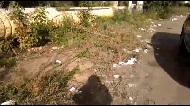 Никаких условий для водителей #жалоба55 Остановка Ермак, Омск смотреть онлайн