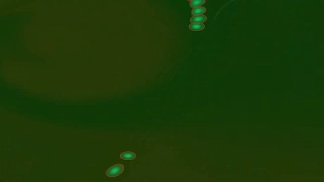 Holograffiti- Blank Banshee [Windows Media Player Visualizer] смотреть онлайн